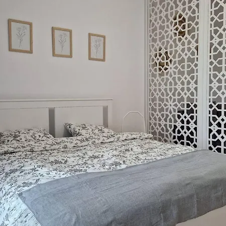 Lovely In Center Apartment Timisoara