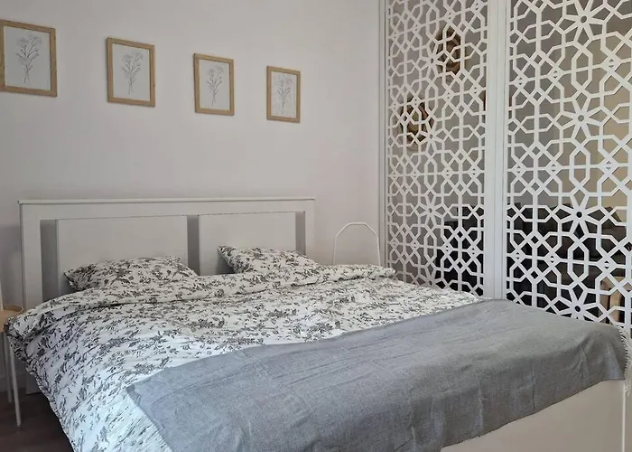 Lovely In Center Apartment Timisoara